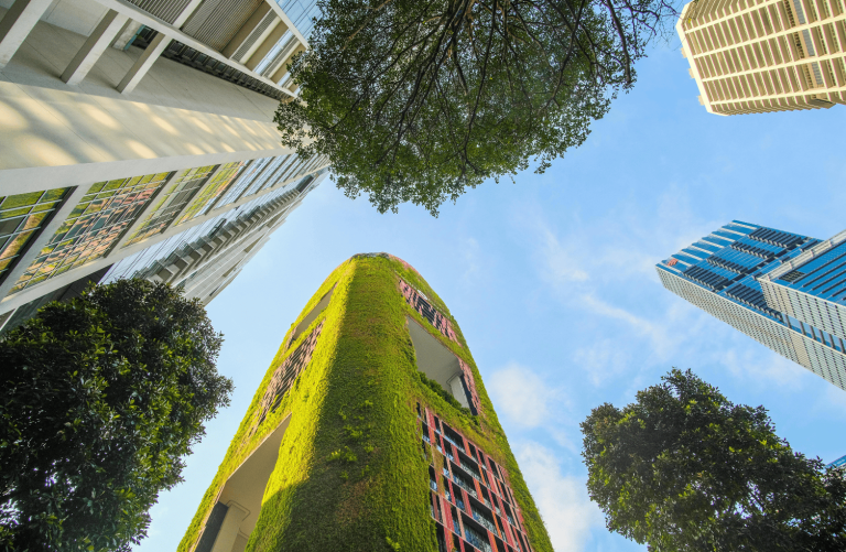 Progetto senza titolo (2)